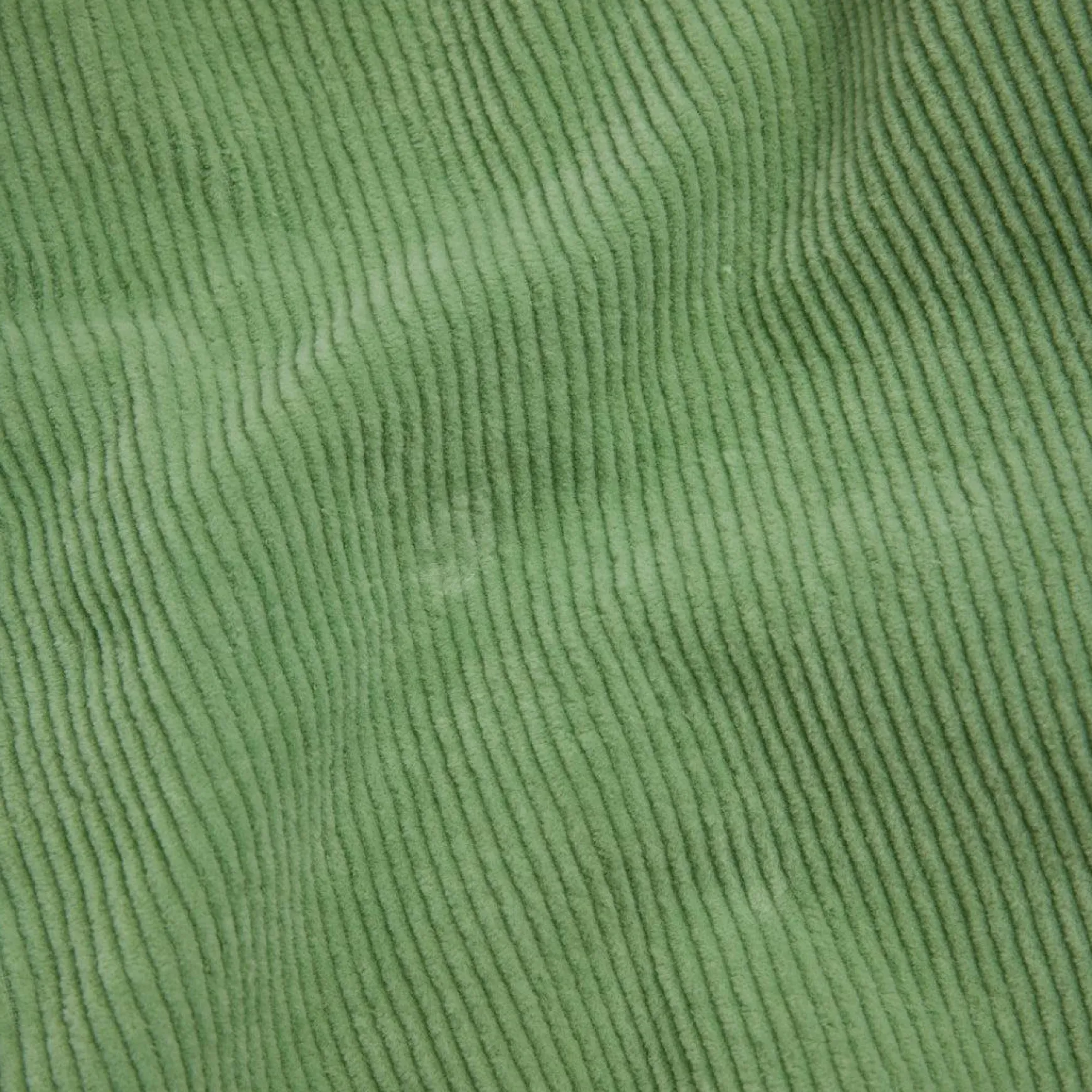Cord Shorts Green